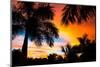 Tropical Trees by the Beach in Central America, Guanacaste, Costa Rica-mervas-Mounted Photographic Print