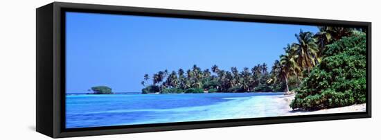 Tropical Trees on the Beach, Maldives-null-Framed Stretched Canvas