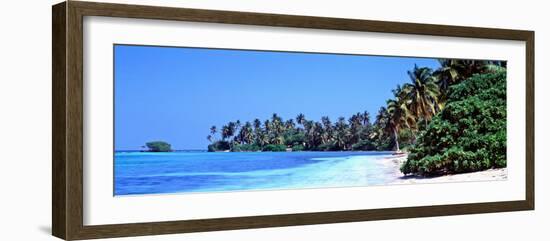 Tropical Trees on the Beach, Maldives-null-Framed Photographic Print