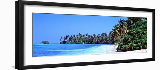 Tropical Trees on the Beach, Maldives-null-Framed Photographic Print