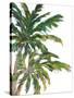 Tropical Trees on White I-Julie DeRice-Stretched Canvas