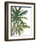 Tropical Trees on White I-Julie DeRice-Framed Art Print