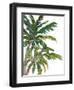 Tropical Trees on White I-Julie DeRice-Framed Art Print