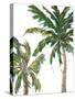 Tropical Trees on White II-Julie DeRice-Stretched Canvas