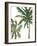 Tropical Trees on White II-Julie DeRice-Framed Art Print