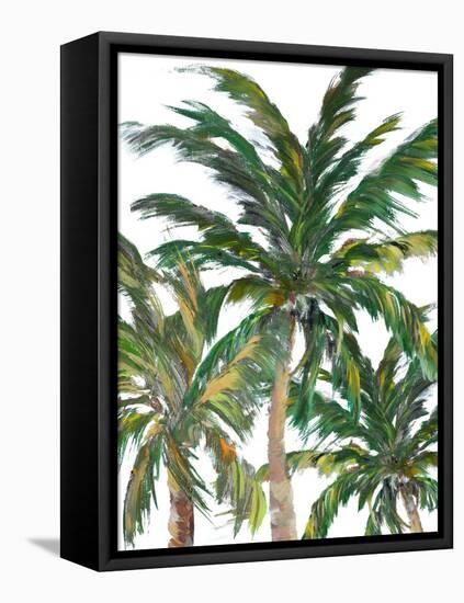 Tropical Trees on White III-Julie DeRice-Framed Stretched Canvas