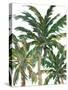 Tropical Trees on White III-Julie DeRice-Stretched Canvas