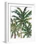 Tropical Trees on White III-Julie DeRice-Framed Art Print