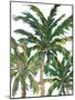 Tropical Trees on White III-Julie DeRice-Mounted Art Print