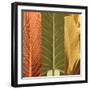 Tropical Trio I-John Seba-Framed Art Print