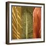 Tropical Trio II-John Seba-Framed Art Print