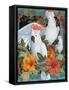 Tropical Trio-David Galchutt-Framed Stretched Canvas