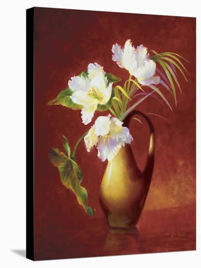 Tropical Tulips-Fran Di Giacomo-Stretched Canvas