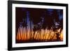 Tropical Twilight-Mike Toy-Framed Giclee Print