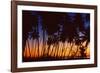 Tropical Twilight-Mike Toy-Framed Giclee Print