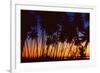 Tropical Twilight-Mike Toy-Framed Giclee Print