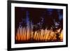 Tropical Twilight-Mike Toy-Framed Giclee Print