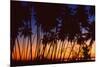 Tropical Twilight-Mike Toy-Mounted Giclee Print