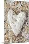 Tropical Type - Pebble Heart-Mike Toy-Mounted Giclee Print