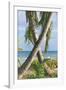 Tropical Type X - Palm-Mike Toy-Framed Giclee Print