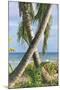 Tropical Type X - Palm-Mike Toy-Mounted Giclee Print