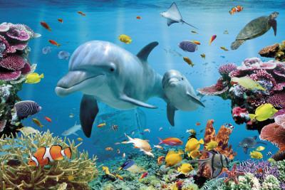 Tropical Underwater-Ocean' Posters Tropical Underwater-Ocean' Posters
