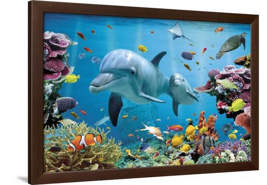 Poster, , large