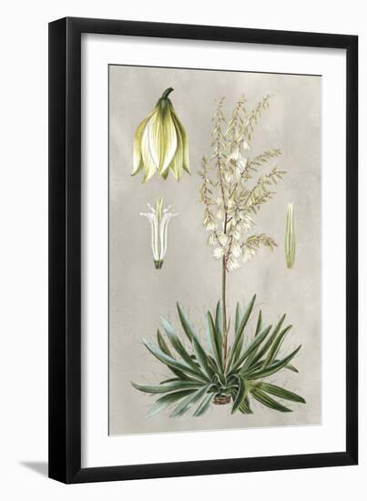 Tropical Varieties I-Pancrace Bessa-Framed Art Print