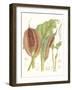 Tropical Variety VI-Curtis-Framed Art Print