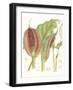 Tropical Variety VI-Curtis-Framed Art Print