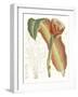 Tropical Variety VII-Curtis-Framed Art Print