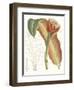 Tropical Variety VII-Curtis-Framed Art Print