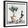 Tropical Vases-Isabelle Z-Framed Art Print