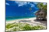 Tropical Vibrant Natural Beach on Samoa Island with Palm Tree and Fale-Martin Valigursky-Mounted Photographic Print