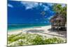 Tropical Vibrant Natural Beach on Samoa Island with Palm Tree and Fale-Martin Valigursky-Mounted Photographic Print