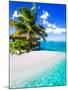 Tropical Villa and Palm Tree next to Amazing Blue Lagoon-Martin Valigursky-Mounted Premium Photographic Print