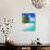 Tropical Villa and Palm Tree next to Amazing Blue Lagoon-Martin Valigursky-Photographic Print displayed on a wall