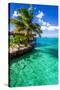 Tropical Villa and Palm Tree next to Amazing Green Lagoon-Martin Valigursky-Stretched Canvas