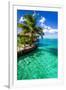 Tropical Villa and Palm Tree next to Amazing Green Lagoon-Martin Valigursky-Framed Photographic Print