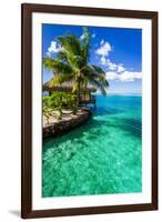 Tropical Villa and Palm Tree next to Amazing Green Lagoon-Martin Valigursky-Framed Photographic Print