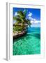 Tropical Villa and Palm Tree next to Amazing Green Lagoon-Martin Valigursky-Framed Photographic Print