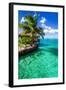 Tropical Villa and Palm Tree next to Amazing Green Lagoon-Martin Valigursky-Framed Photographic Print