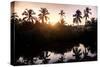 Tropical Village in Goa-Marina Pissarova-Stretched Canvas