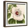 Tropical Vision I-Vision Studio-Framed Art Print