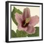 Tropical Vision II-Vision Studio-Framed Art Print