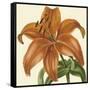 Tropical Vision IV-Vision Studio-Framed Stretched Canvas