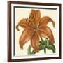 Tropical Vision IV-Vision Studio-Framed Art Print