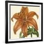 Tropical Vision IV-Vision Studio-Framed Art Print