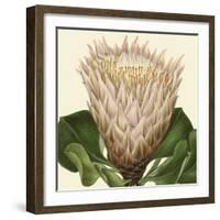 Tropical Vision VI-Vision Studio-Framed Art Print