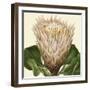 Tropical Vision VI-Vision Studio-Framed Art Print